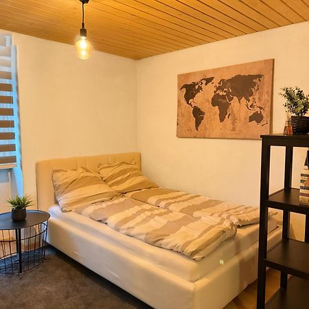 Citycenter Apartment With Parking لوسرن المظهر الخارجي الصورة