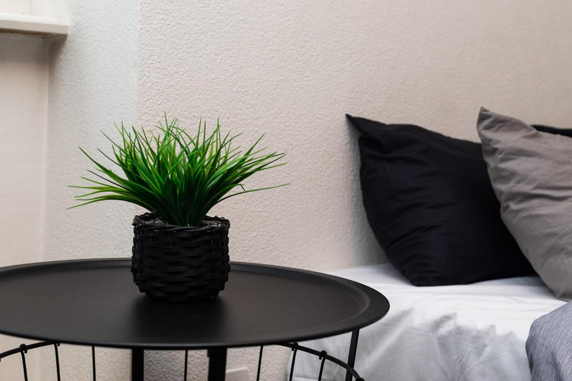 Citycenter Apartment With Parking لوسرن المظهر الخارجي الصورة
